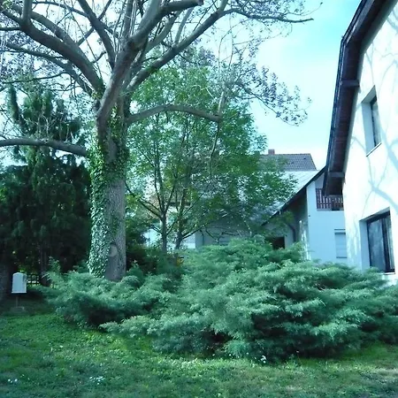 Andrea Apartman * Alsópáhok